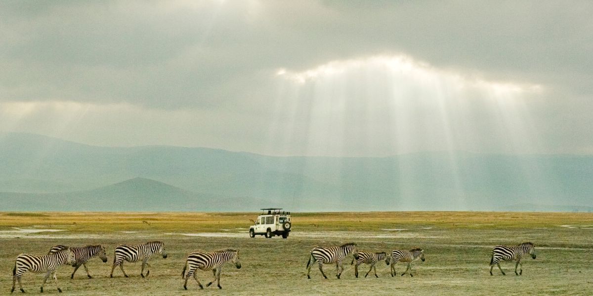 Ngorongoro Crater Safari